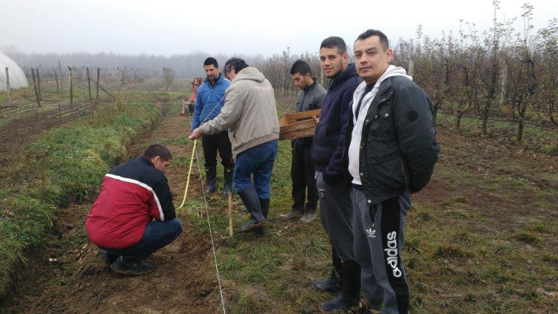 Заједнички рад ученика и радника школе